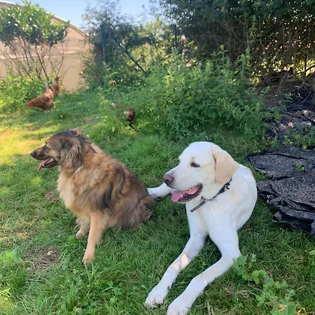 Larre Aundi Renteria