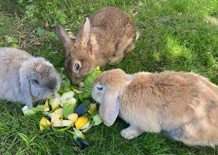 Country house Larre Aundi *