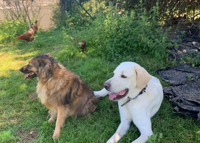 Larre Aundi Renteria